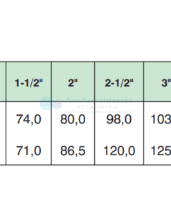 Alternative view of Válvula de retención York 2"