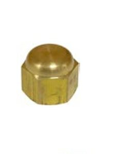 TAPON LATON HEMBRA DE 1/2" SAE